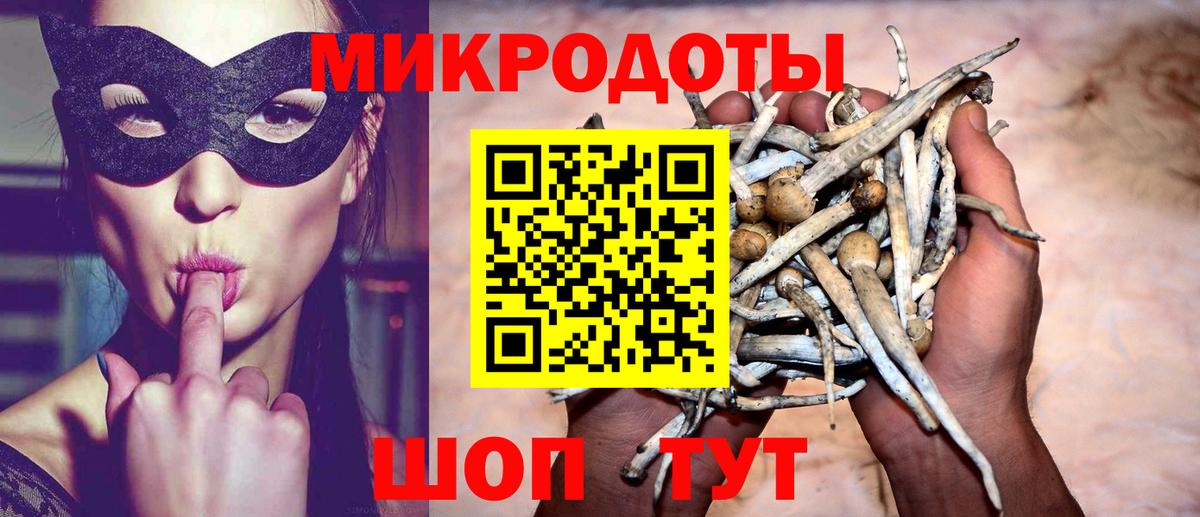Галлюциногенные грибы прущие грибы Фурманов